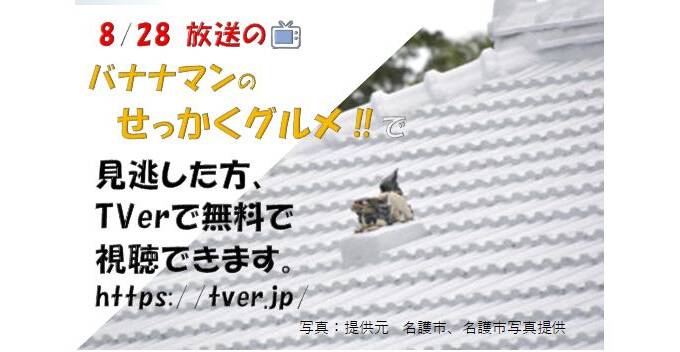 8月28日放送の「バナナマンのせっかくグルメ‼」で夏真っ盛りの名護市で絶品グルメを満喫。見逃した方はtver（ティーバ―）をチェック！※9/11（日）終了。